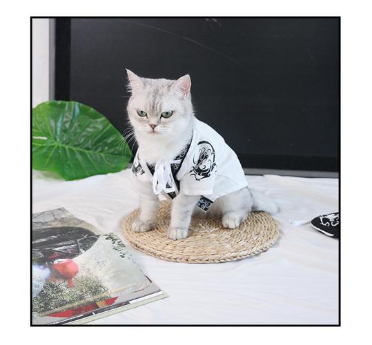 宠物汉服猫咪衣服春秋装泰迪狗狗衣服小型犬龙袍防掉毛宠物服饰潮