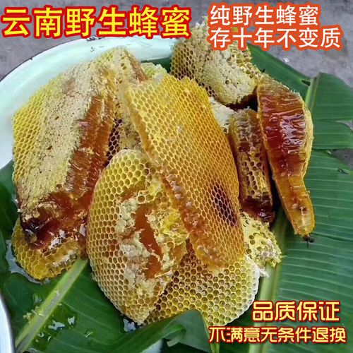 云南普洱天然百花蜜纯正野生土蜂蜜带巢岩蜜挂密老挝农产品特产