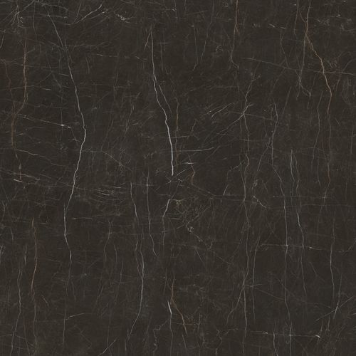 hpg80146 金镶玉 800x800mm