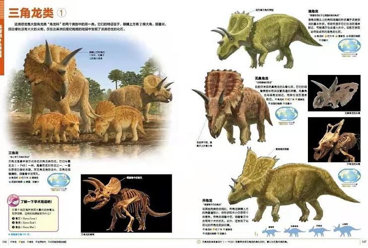 孩子想要的恐龙都在这里啦