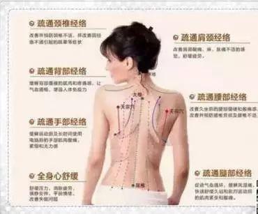 难怪你这么胖,经络都快堵死了!