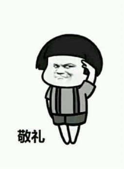 敬礼表情包 微信