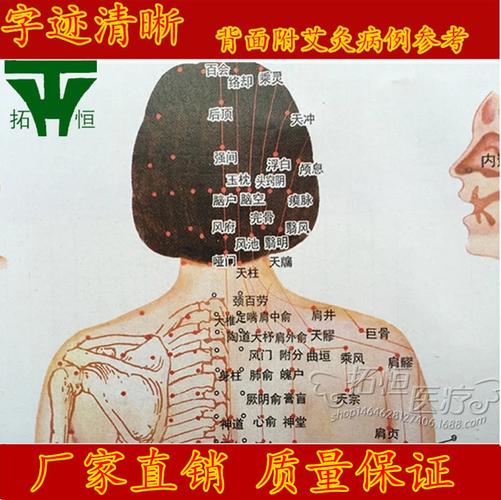女士人体经络图挂图艾灸穴位图艾灸参考图双面印刷可印二维码logo