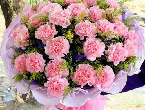 康乃馨送给母亲的花朵有以下几种,分别是:康乃馨,玫瑰花,百合花,兰花