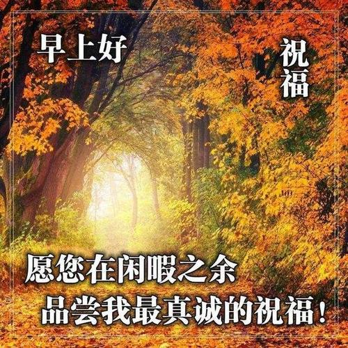 天冷了的早安暖心祝福语短句,天冷问候朋友的早安问候
