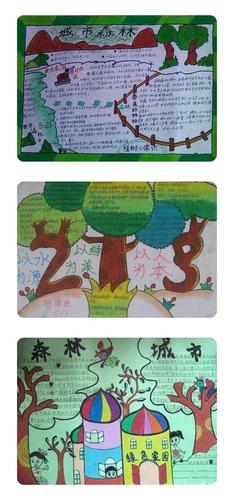 小学生们纷纷为创森做手抄报