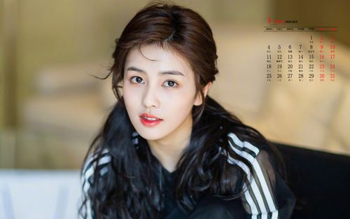 首页 桌面壁纸 日历壁纸 2019年3月白鹿简约活力高清日历壁纸