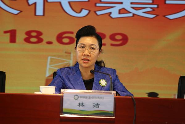 深圳市委常委林洁同志讲话