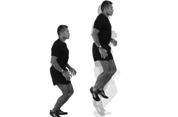 原地跳的标准动作