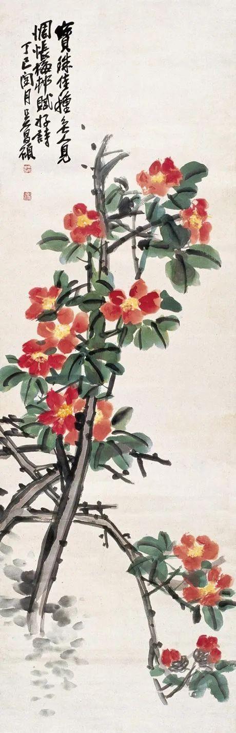 写意山茶花冬日里最美的丹砂色