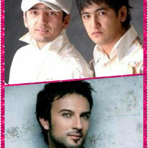 bojalar and tarkan