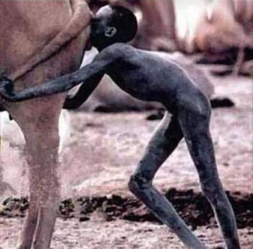 一组网上流传最广的非洲儿童照片,住土屋吃土饼,太惨了!