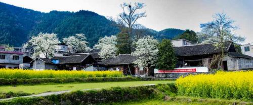 4采风贵州松桃梨花村