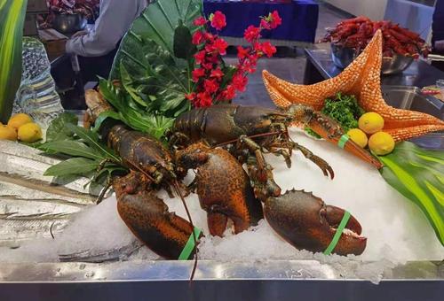 原创大连国际龙虾节,血受!