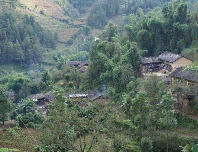 小水井自然村