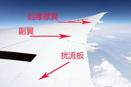 原来,这些"小片片"作用还挺大呢.