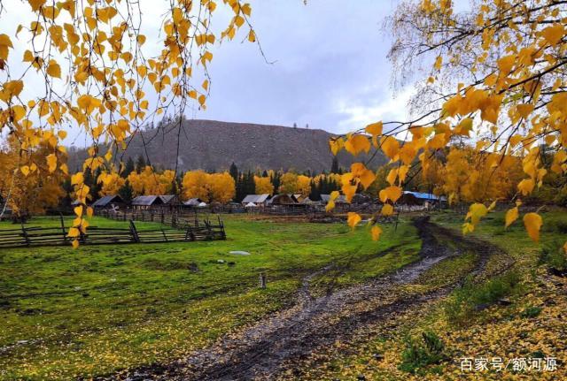 美丽的白哈巴风景