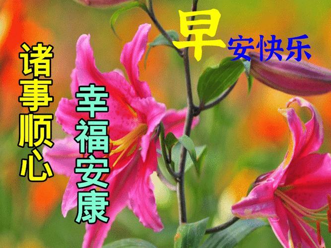 8张朋友们早上好温馨的冬季祝福语录精选唯美的冬天暖心早安动态图片