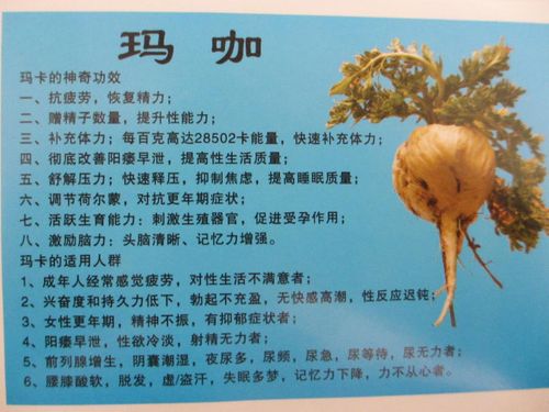 穿布鞋的马云:马云首次创业