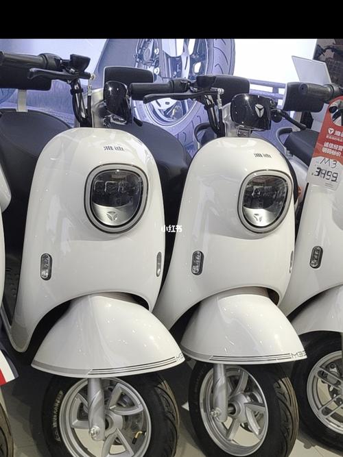 雅迪m3到底买冠能还是劲远好