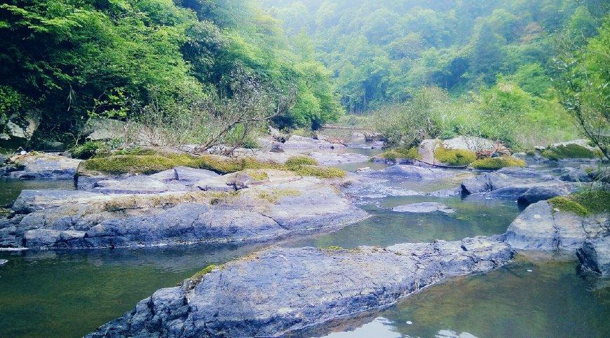 绿野溪林,清澈溪流,青翠,娇羞欲滴