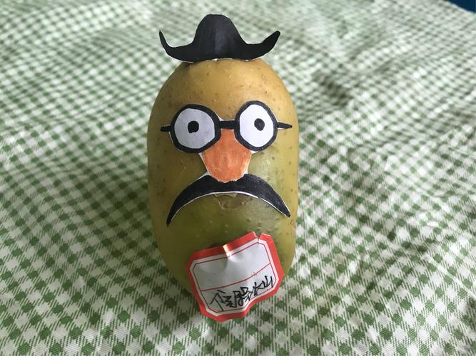 《土豆变形记》 ——边城镇中心幼儿园小一班土豆创意