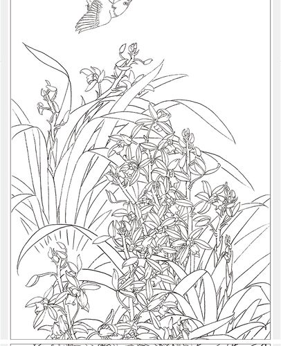 正版梅兰竹菊条屏白描画稿内附彩稿梁燕生绘工笔花卉中国画工笔画绘画
