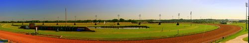 lone star park 孤星赛马场