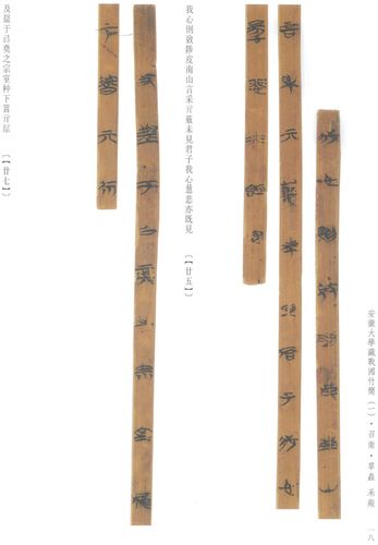 【安大简】诗经国风召南·采苹