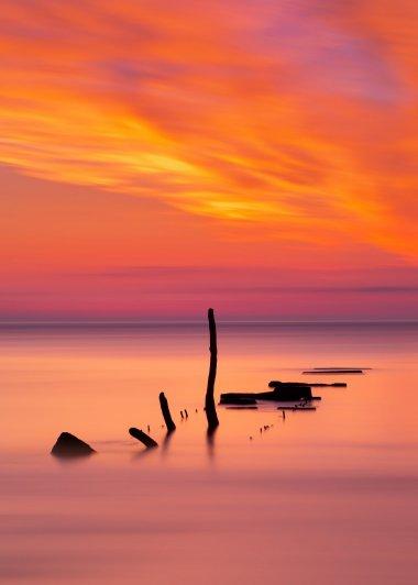 黄昏树叶剪影唯美意境图片,高清图片