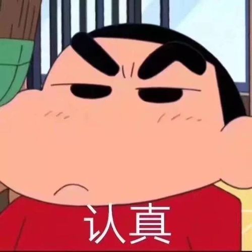 认真蜡笔小新表情包系列卡通表情