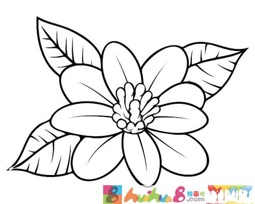 花朵简笔画图片,内容包含相关花简笔画栏目里的一朵美丽的花朵简笔画