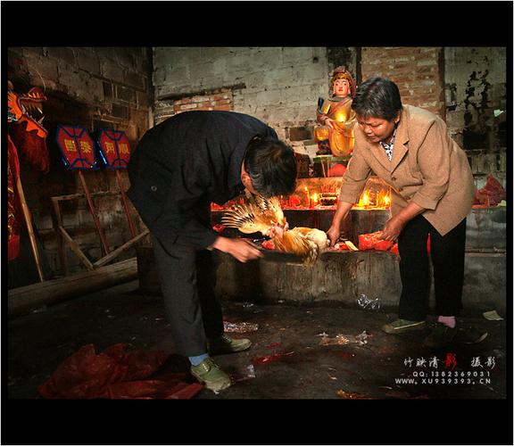ctps.cn-- 赣南—石上村民俗"割鸡"之一 竹映清影