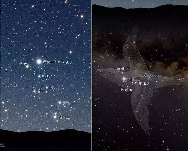 也就是说,三颗织女星是由7颗恒星组成的.三个牛郎,七个织女,细思恐极.