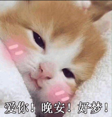 爱你!晚安!好梦!