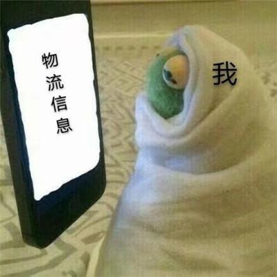 双十一焦灼等快递的表情包快递是要去旅游吗