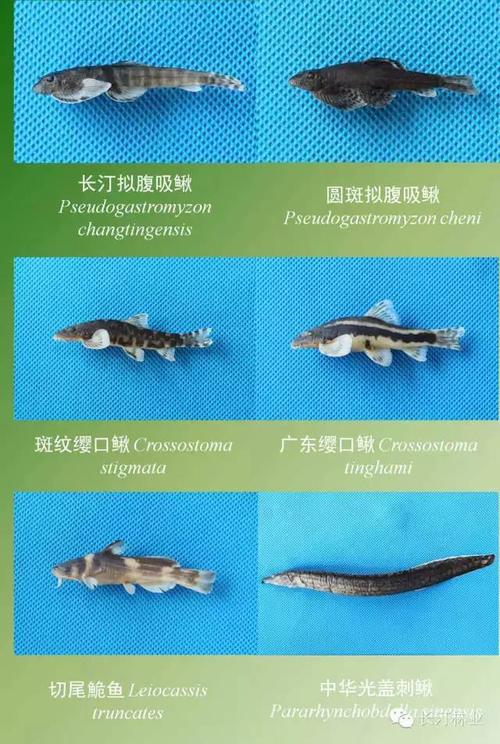 生态长汀丨来汀江源国家级自然保护区亲近自然·感知