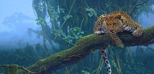 世界之肺,热带雨林气候,原始森林或探险,或亚马逊雨林中的原始动物.