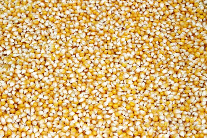 在街边市场的新鲜原料玉米籽粒照片-正版商用图片0ta2aw-摄图新视界