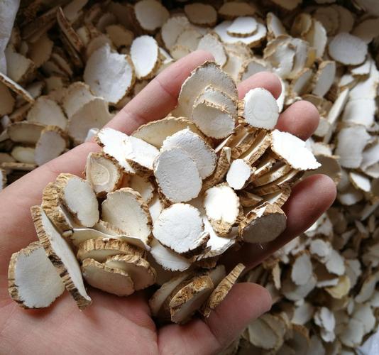 供应中药材白芷 白芷片 香味调料白芷整个片 量大从优白芷