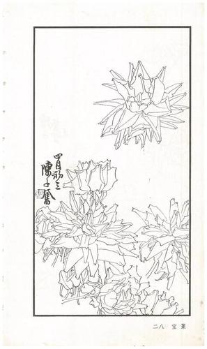 《陈子奋白描花卉册》图赏(多图)