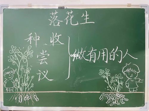 五年级上册落花生板书