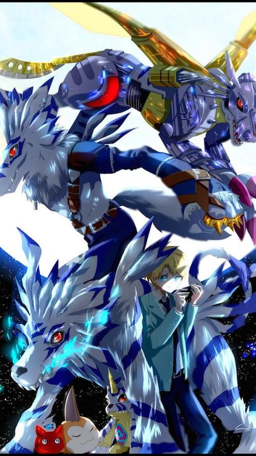 角兽→加布兽→加鲁鲁兽→兽人加鲁鲁兽→钢铁加鲁鲁兽