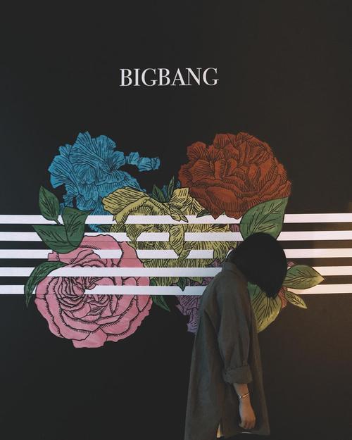 [bigbang]真正的花路壁纸!