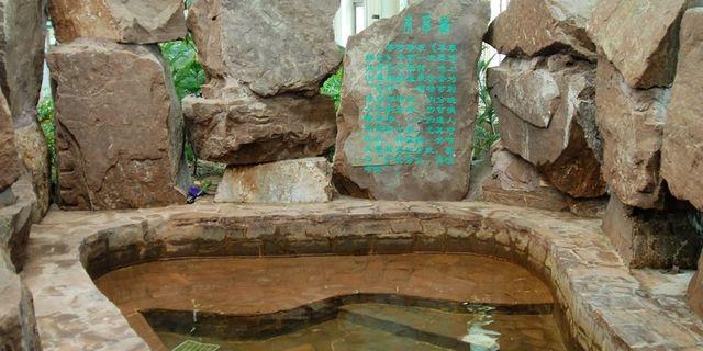 大雁岛温泉城风景图片