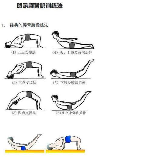 胸腰椎骨折围手术期康复指导