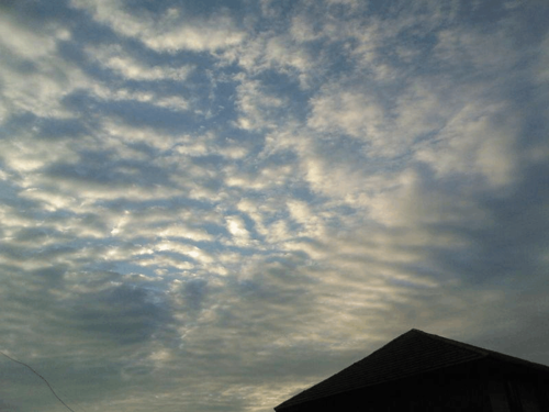 集合了一些云种类的描述