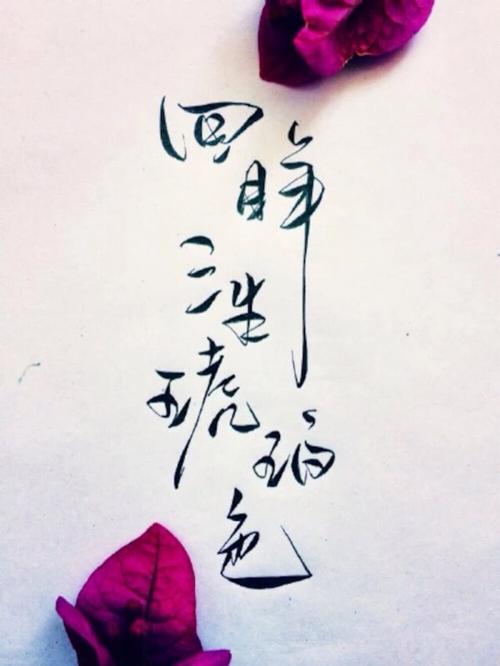 这个是最喜欢的字章了 - 堆糖,美图壁纸兴趣社区