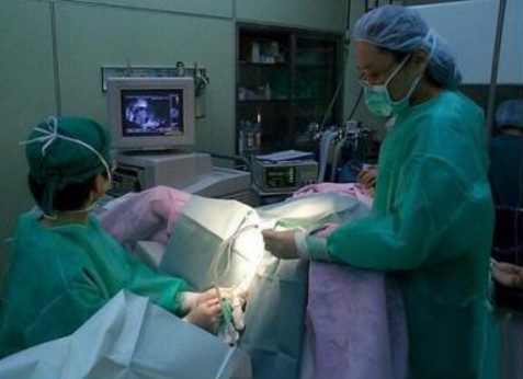 图解:试管婴儿手术全过程,看着都痛,真的好心疼女人一万遍