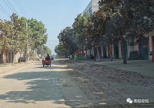 【枣阳城事】我感觉进入了一个假鹿头镇!